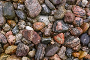 Photo Credit : Barry Gallant - Photo Workshop July 13, 2014