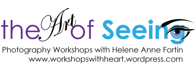The art of Seeing header png larger