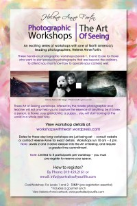 Photographic Workshop POSTER