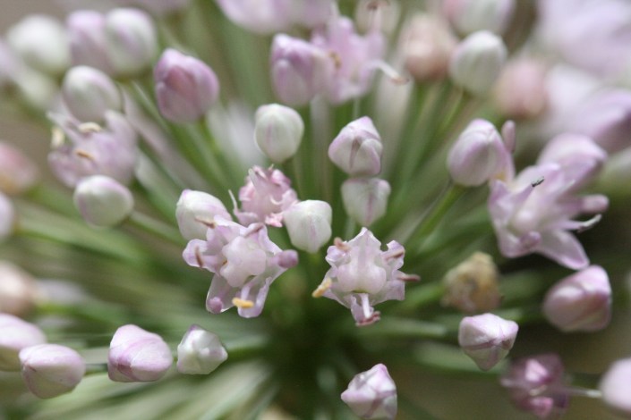 Photo Credit: Barbi Defazio, Art of Seeing Workshop