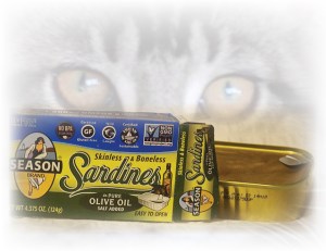 suzanne-lebeda-aofs-2