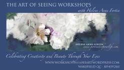 artofseeing promo 2019 copyright HA Fortin